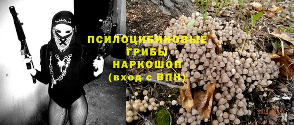 амфетамин Каменка