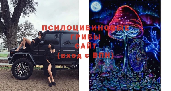 твердый Каменногорск