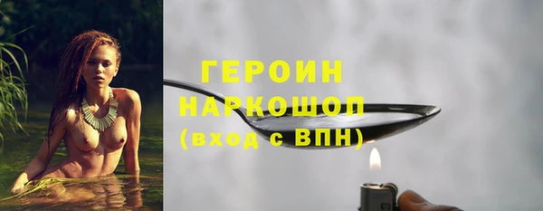 индика Инта
