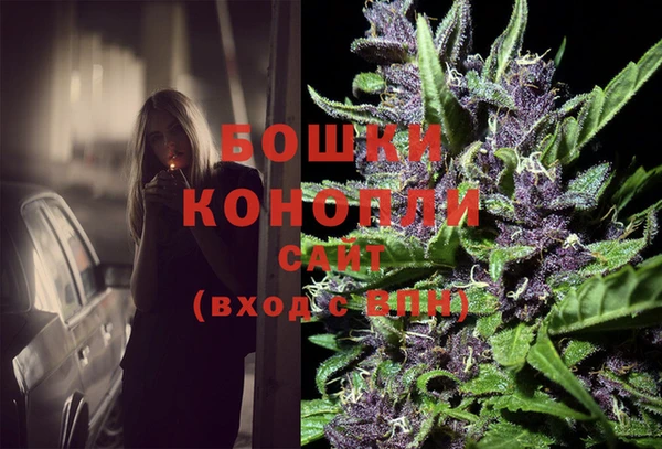 apvp Иннополис
