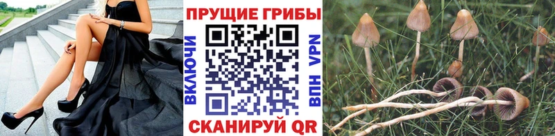 Галлюциногенные грибы Magic Shrooms  Касли 