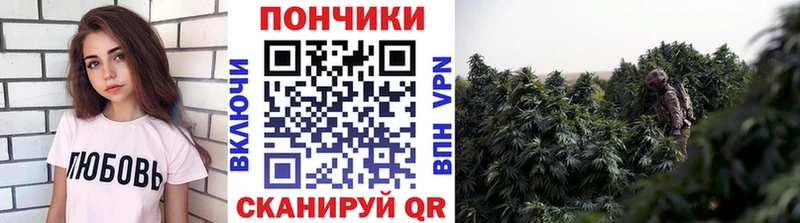 Каннабис сатива  Касли 